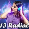 13 RADIAL - ONLINE